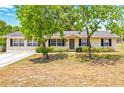 Inviting single-story home with manicured landscaping and classic curb appeal at 27343 Warner Ave, Brooksville, FL 34602