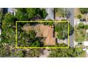 Aerial view highlighting the property's roof and surrounding mature trees at 111 Orangeview Ave, Clearwater, FL 33755