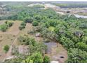 Aerial view of a home nestled among mature trees, with a pond and a neighboring community in the distance at 1641 Thompson Rd, Lithia, FL 33547