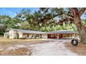 Charming single-story home with a large oak tree, spacious driveway, and unique carport at 1641 Thompson Rd, Lithia, FL 33547