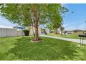Expansive front yard, mature trees, and walkway enhance the curb appeal of this home at 3716 Carioca Rd, Holiday, FL 34691
