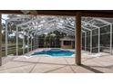 A screened in pool featuring a spa and tiki bar, set against a lush green backdrop at 4872 Silverthorne Ct, Oldsmar, FL 34677