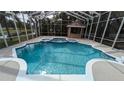 Relaxing screened pool with built in spa and water feature at 4872 Silverthorne Ct, Oldsmar, FL 34677