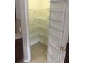 Spacious walk-in pantry with ample shelving for organized storage at 10402 Tulip Field Way, Riverview, FL 33578