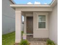 Inviting front entrance with a classic brown door, decorative columns, and verdant landscaping at 11830 Brighton Knoll Loop, Riverview, FL 33579