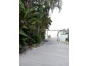 Exterior image displaying a wooden dock leading to the water, surrounded by lush tropical foliage and palm trees at 14555 N Bayshore Dr, Madeira Beach, FL 33708