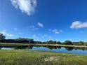 A serene water view of the lake surrounded by lush green grass, trees, and building in the background at 2615 Cove Cay Dr # 408, Clearwater, FL 33760