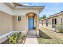 Inviting front entrance with a bright blue door and manicured landscaping at 925 Windton Oak Dr, Ruskin, FL 33570
