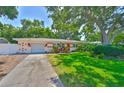 Inviting single-story home with well-maintained lawn, vibrant landscaping, and a quaint, welcoming facade at 1500 Robinson N Dr, St Petersburg, FL 33710
