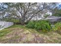 Spacious backyard featuring mature trees, lush landscaping, and a partial view of the screened-in pool area at 2117 Laindale Pl, Valrico, FL 33596