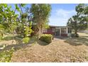 Expansive backyard with a screened porch perfect for outdoor relaxation and entertainment at 6427 15Th N St, St Petersburg, FL 33702