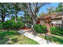 Cozy home featuring mature landscaping, walkway, and a red front door at 2953 Yucca Ct, Palm Harbor, FL 34684