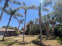 Spacious backyard featuring mature palm trees, perfect for outdoor activities and relaxation at 627 Riverside Dr, Tarpon Springs, FL 34689