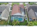 Aerial view of a screened-in pool, lush landscaping, and solar panels on the roof at 8915 Hannigan Ct, Tampa, FL 33626