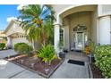 The front door is framed by columns and surrounded by lush landscaping at 25330 Conestoga Dr, Land O Lakes, FL 34639
