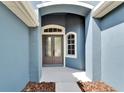Elegant front entryway featuring a double door and a decorative window at 16516 Bridgewalk Dr, Lithia, FL 33547