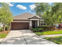 Charming single-story home with a well-manicured lawn, mature trees, and a two-car garage at 9031 Sienna Moss Ln, Riverview, FL 33578