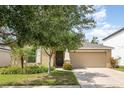 Charming single-Gathering home featuring a manicured lawn, mature tree, and a two-car garage at 10036 Crested Fringe Dr, Riverview, FL 33578