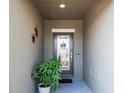Inviting front entrance with decorative glass door, welcome mat, and potted plant at 19041 Alfaro Loop, Spring Hill, FL 34610