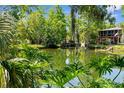 Secluded backyard pond surrounded by mature trees and lush vegetation at 5421 Gay St, Weeki Wachee, FL 34607