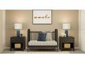 Charming Bedroom with a cute crib, whimsical decor, and soft lighting, creating a cozy and inviting space at 11837 Blue Diamond Trl, Parrish, FL 34219