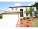 Charming two-story home with a manicured lawn, palm trees, and a paved walkway leading to the front door at 7334 Night Heron Dr, Land O Lakes, FL 34637