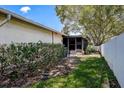 Exterior shot of a house backyard, green lawn, a screen door and a hedge at 3122 37Th S Ln # C, St Petersburg, FL 33711