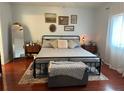 Tranquil main bedroom with a metal frame bed, area rug, and cozy decor for a relaxing retreat at 11227 Summer Star Dr, Riverview, FL 33579