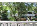 Balcony view with shade trees and a peek at the condo building at 2630 Pearce Dr # 208, Clearwater, FL 33764