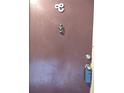 Close-up of front door with an ornate knocker and unit number at 7526 Needle Leaf Pl # 29, Tampa, FL 33617