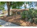 Single-story home featuring a well-maintained yard and lush landscaping at 12606 Rain Forest St, Temple Terrace, FL 33617