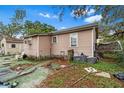 Exterior view showing an overgrown backyard needing some cleanup and landscape restoration at 10803 N Florence Ave, Tampa, FL 33612