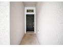 A modern black front door with sidelight provides a secure welcome at 15810 Starling Water Dr, Lithia, FL 33547
