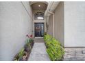 Inviting front entrance featuring a decorated door, attractive planters, and a well-maintained walkway at 35819 Diamond Head Ct, Zephyrhills, FL 33541
