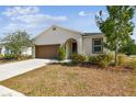 Inviting single-story home with a neat lawn, complemented by mature trees and a cozy entrance at 10628 Massimo Dr, Wimauma, FL 33598