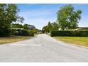 Quiet street with lush green trees and shrubbery lining the roadway at 3106 Ash Ct, Dunedin, FL 34698