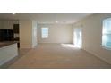 Spacious living room with carpeted floors, ample natural light, and an open layout at 10928 Carlton Fields Dr, Riverview, FL 33579