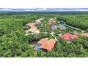A beautiful aerial view of a community with lush green trees, serene ponds, and exquisite homes at 16343 Burniston Dr, Tampa, FL 33647