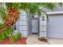 Welcoming front entrance features a gray door, sidelights, and a well-maintained landscaped garden at 2823 Banyan Hill Ln, Land O Lakes, FL 34639