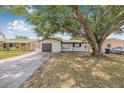 Charming single-story home featuring a well-maintained front yard and mature tree providing ample shade at 5734 20Th N Ave, St Petersburg, FL 33710