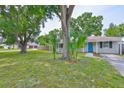 Serene view of a single-story home surrounded by mature trees and a well-maintained lawn, highlighted by a blue front door at 3915 W Leila Ave, Tampa, FL 33616