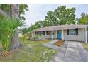Well-kept single-story home with a manicured lawn, accented by palm trees and featuring a vibrant blue front door at 3915 W Leila Ave, Tampa, FL 33616