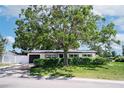 Landscaped single-story home featuring a mature shade tree, manicured lawn, and a one-car garage at 5698 26Th N Ave, St Petersburg, FL 33710