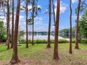 Scenic lake view through the trees, showcasing a serene and natural setting with calm water and blue sky at 7216 N Mobley Rd, Odessa, FL 33556