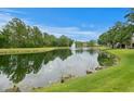 Scenic pond with a fountain, surrounded by lush greenery and trees, creating a tranquil community space at 18939 Duquesne Dr, Tampa, FL 33647