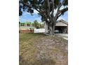 View of backyard and exterior; large tree provides shade at 2026 Aaron Pl, Clearwater, FL 33760