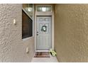 Charming entryway featuring a six-panel door, accent window, and cozy welcome mat at 2129 Lennox Dale Ln, Brandon, FL 33510