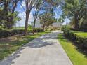 Long, private driveway leading to a distinguished home, lined with hedges and mature trees at 919 Ballinger Rd, Lutz, FL 33548