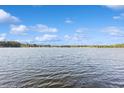 Scenic lake view showcasing the open water and surrounding treeline at 919 Ballinger Rd, Lutz, FL 33548