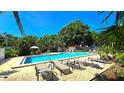 Relaxing community pool with lounge chairs, lush greenery, and clear blue water at 3907 Orchard Hill Cir, Palm Harbor, FL 34684